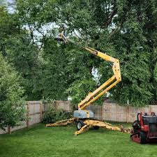 Best Commercial Tree Services  in Louisville, KY