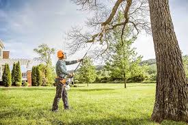 Best Weed Control  in Louisville, KY