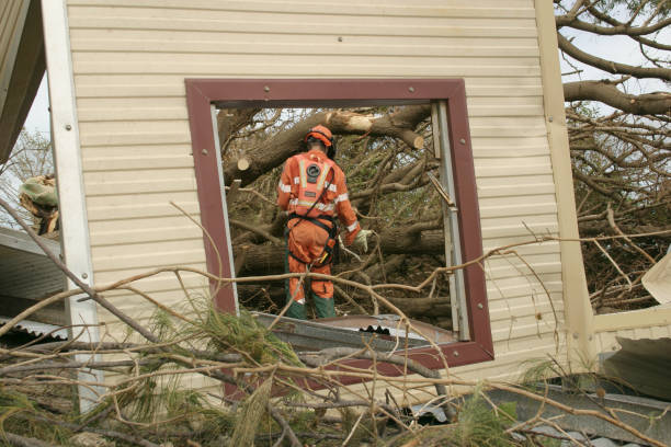 Best Seasonal Cleanup (Spring/Fall)  in Louisville, KY